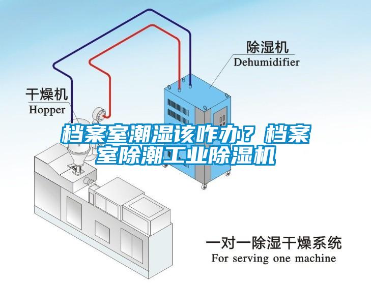 檔案室潮濕該咋辦？檔案室除潮工業(yè)除濕機(jī)