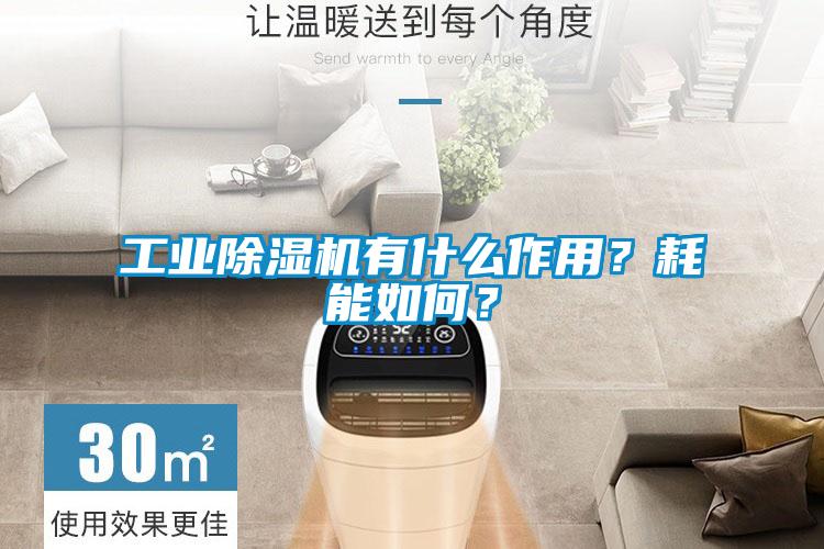工業除濕機有什么作用？耗能如何？