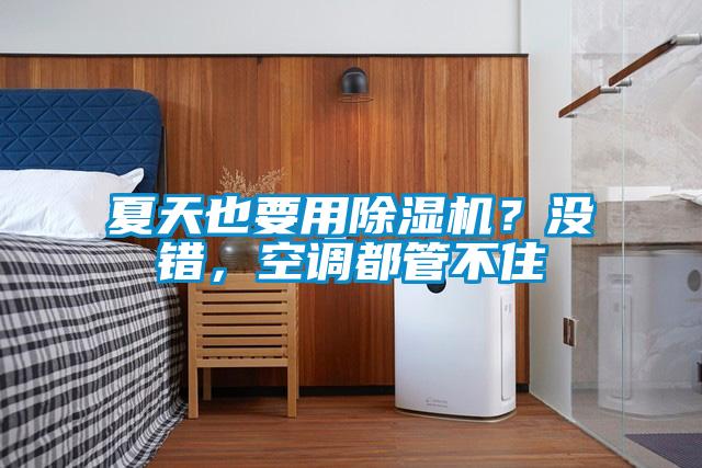 夏天也要用除濕機？沒錯，空調都管不住