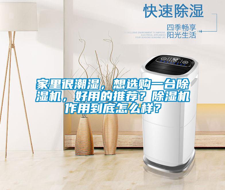 家里很潮濕，想選購一臺除濕機，好用的推薦？除濕機作用到底怎么樣？
