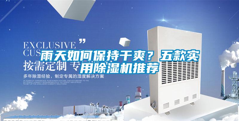 雨天如何保持干爽？五款實用除濕機推薦