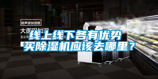 線上線下各有優(yōu)勢(shì) 買(mǎi)除濕機(jī)應(yīng)該去哪里？