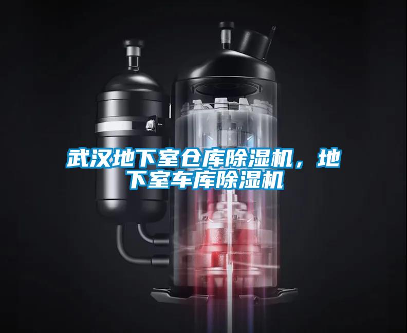 武漢地下室倉庫除濕機，地下室車庫除濕機