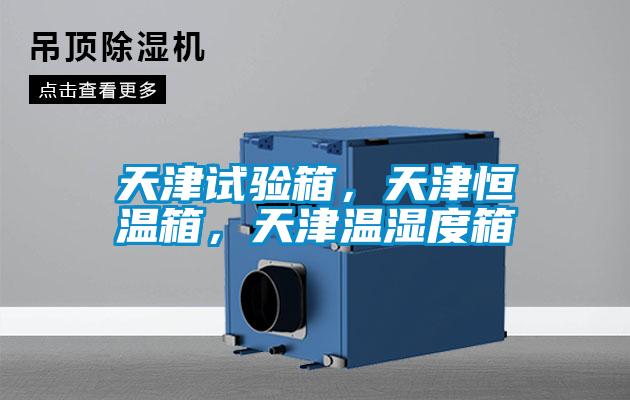 天津試驗箱，天津恒溫箱，天津溫濕度箱