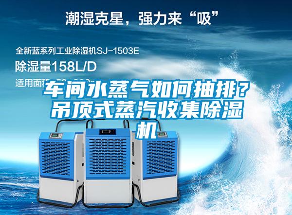 車間水蒸氣如何抽排？吊頂式蒸汽收集除濕機