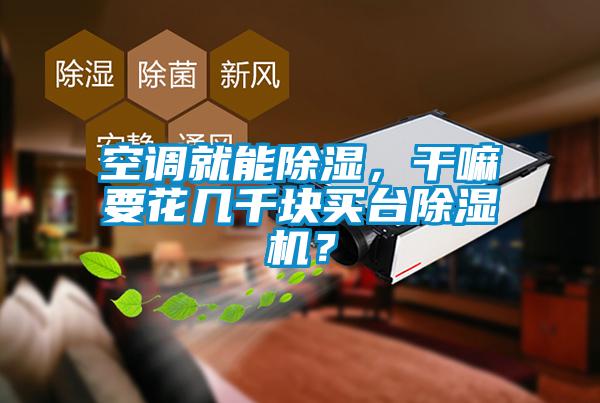空調就能除濕，干嘛要花幾千塊買臺除濕機？