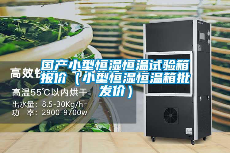 國產(chǎn)小型恒濕恒溫試驗(yàn)箱報價（小型恒濕恒溫箱批發(fā)價）