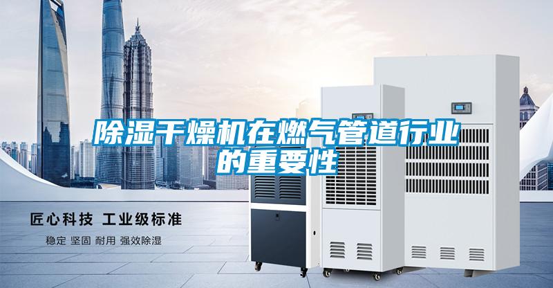 除濕干燥機在燃?xì)夤艿佬袠I(yè)的重要性