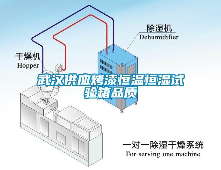 武漢供應(yīng)烤漆恒溫恒濕試驗箱品質(zhì)