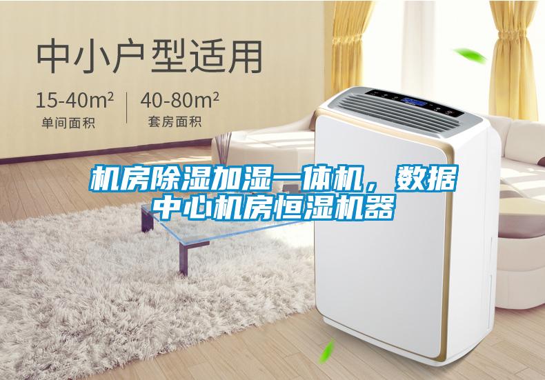機(jī)房除濕加濕一體機(jī)，數(shù)據(jù)中心機(jī)房恒濕機(jī)器