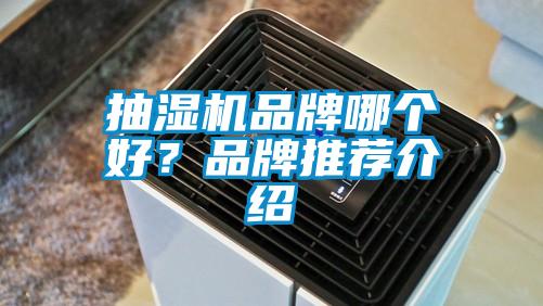 抽濕機品牌哪個好？品牌推薦介紹