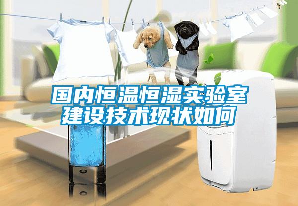 國內(nèi)恒溫恒濕實驗室建設(shè)技術(shù)現(xiàn)狀如何