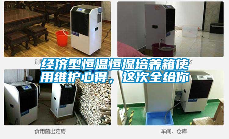 經濟型恒溫恒濕培養箱使用維護心得，這次全給你