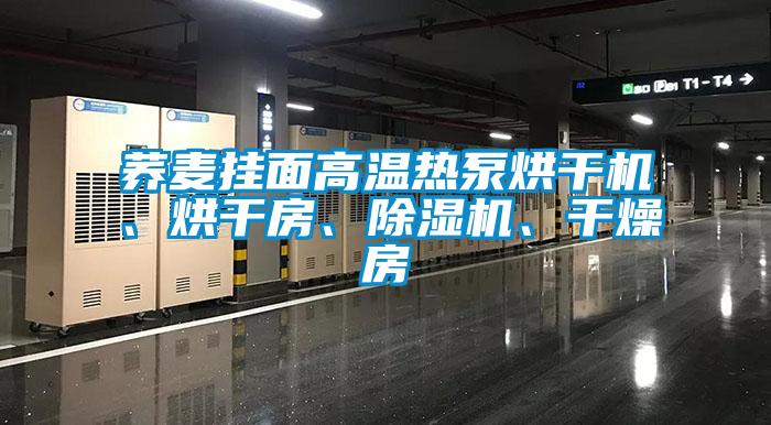 蕎麥掛面高溫?zé)岜煤娓蓹C(jī)、烘干房、除濕機(jī)、干燥房