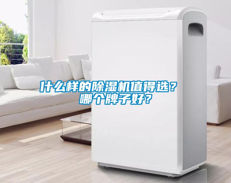 什么樣的除濕機(jī)值得選？ 哪個(gè)牌子好？