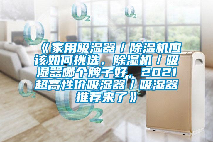 《家用吸濕器／除濕機(jī)應(yīng)該如何挑選，除濕機(jī)／吸濕器哪個牌子好，2021超高性價吸濕器／吸濕器推薦來了》