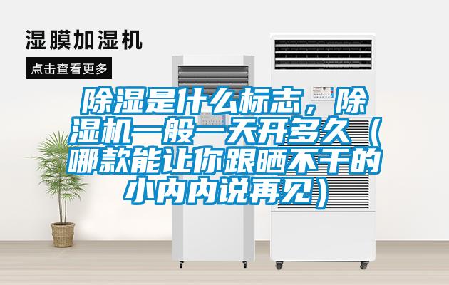 除濕是什么標(biāo)志，除濕機一般一天開多久（哪款能讓你跟曬不干的小內(nèi)內(nèi)說再見）