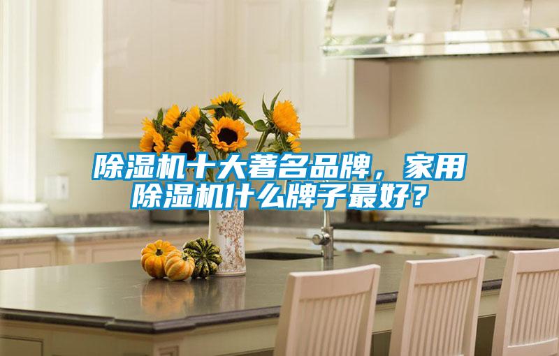 除濕機(jī)十大著名品牌，家用除濕機(jī)什么牌子最好？