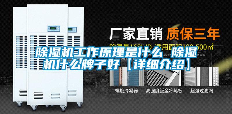 除濕機工作原理是什么 除濕機什么牌子好【詳細(xì)介紹】