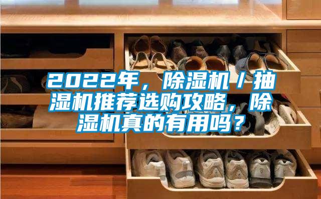 2022年，除濕機／抽濕機推薦選購攻略，除濕機真的有用嗎？