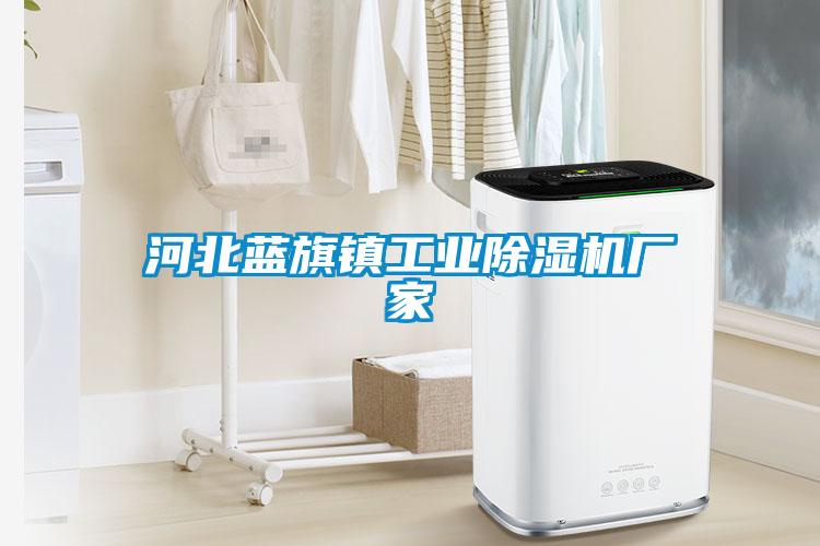 河北藍(lán)旗鎮(zhèn)工業(yè)除濕機廠家