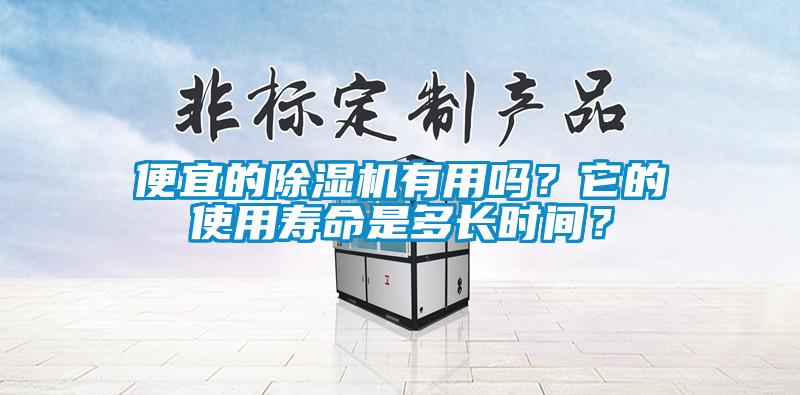 便宜的除濕機有用嗎？它的使用壽命是多長時間？