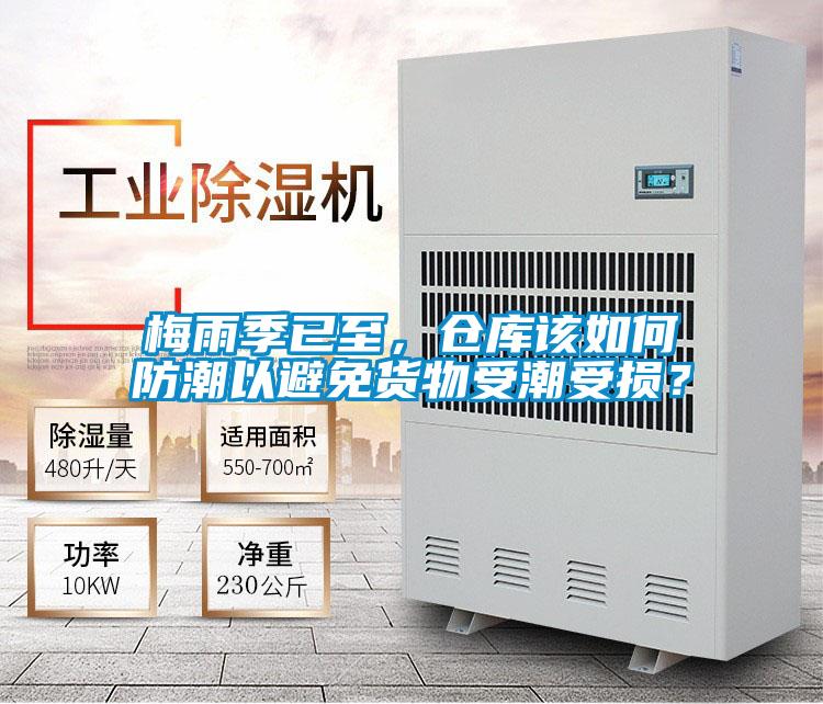 梅雨季已至，倉庫該如何防潮以避免貨物受潮受損？