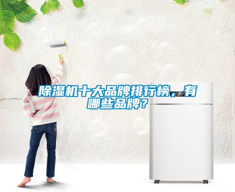 除濕機十大品牌排行榜，有哪些品牌？