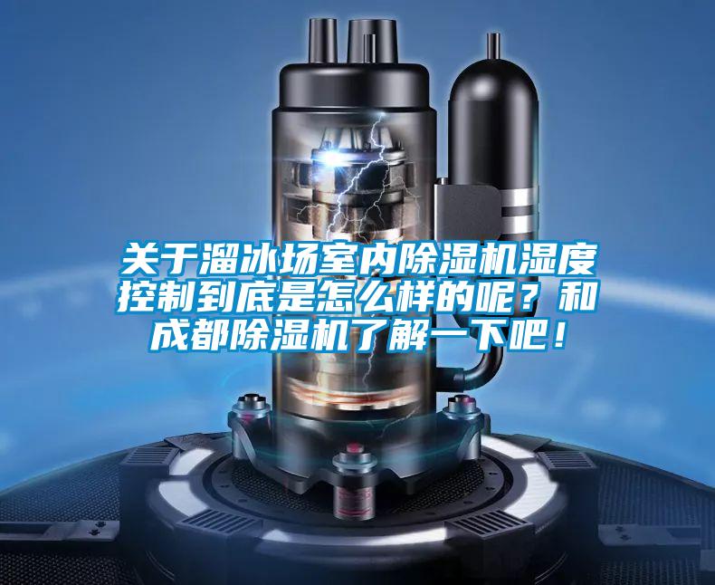 關(guān)于溜冰場(chǎng)室內(nèi)除濕機(jī)濕度控制到底是怎么樣的呢？和成都除濕機(jī)了解一下吧！