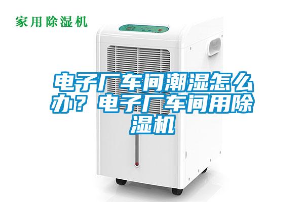 電子廠車間潮濕怎么辦？電子廠車間用除濕機