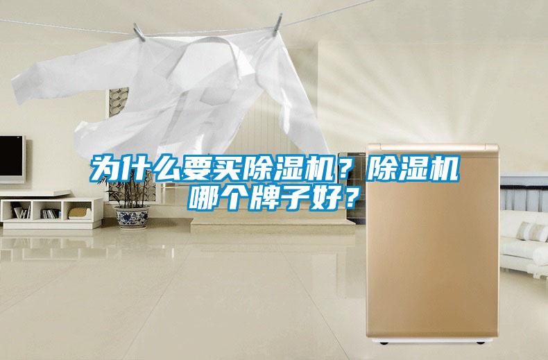 為什么要買除濕機？除濕機哪個牌子好？