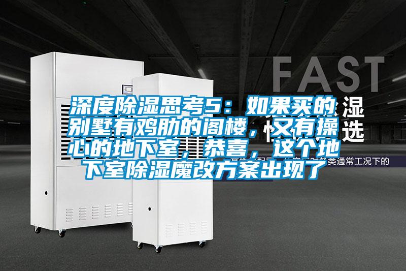 深度除濕思考5：如果買的別墅有雞肋的閣樓，又有操心的地下室，恭喜，這個地下室除濕魔改方案出現了