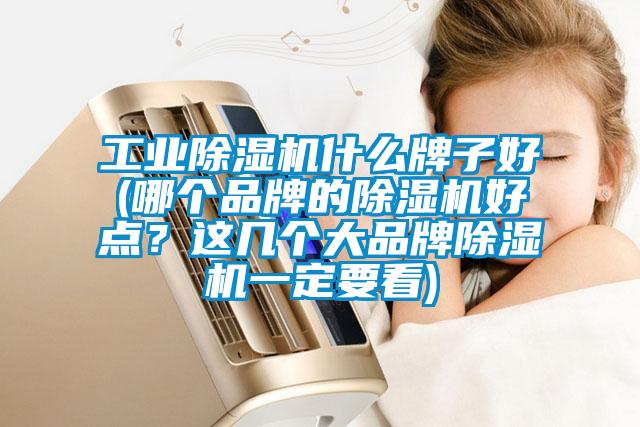 工業除濕機什么牌子好(哪個品牌的除濕機好點？這幾個大品牌除濕機一定要看)