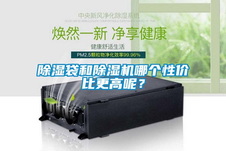 除濕袋和除濕機哪個性價比更高呢？