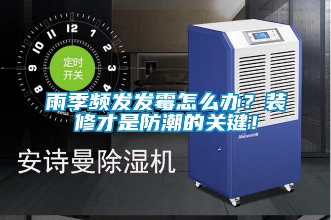 雨季頻發發霉怎么辦？裝修才是防潮的關鍵！