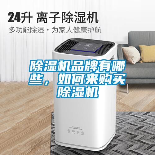 除濕機(jī)品牌有哪些，如何來(lái)購(gòu)買除濕機(jī)