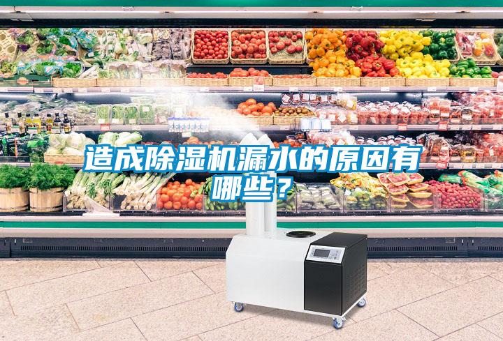 造成除濕機漏水的原因有哪些？