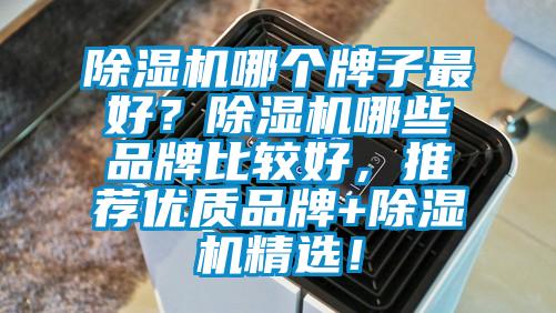 除濕機哪個牌子最好？除濕機哪些品牌比較好，推薦優(yōu)質品牌+除濕機精選！