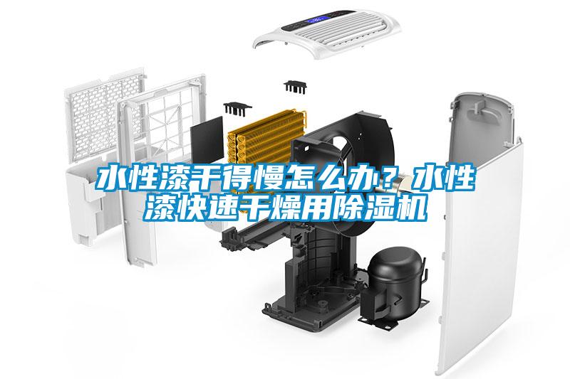 水性漆干得慢怎么辦？水性漆快速干燥用除濕機