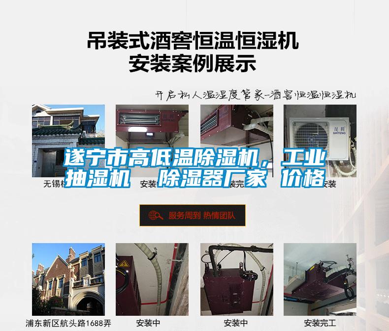 遂寧市高低溫除濕機，工業(yè)抽濕機  除濕器廠家 價格