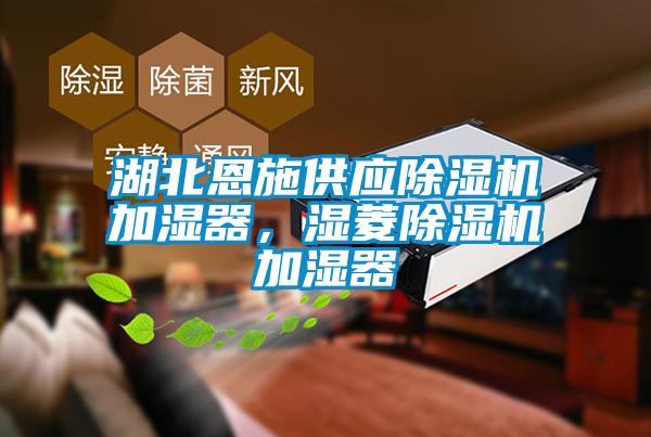 湖北恩施供應(yīng)除濕機(jī)加濕器，濕菱除濕機(jī)加濕器