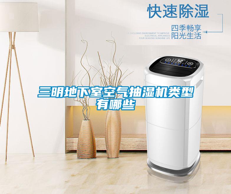 三明地下室空氣抽濕機(jī)類(lèi)型有哪些