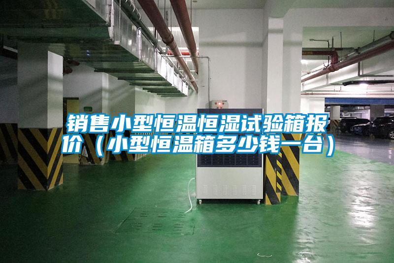 銷售小型恒溫恒濕試驗(yàn)箱報(bào)價(jià)（小型恒溫箱多少錢一臺）