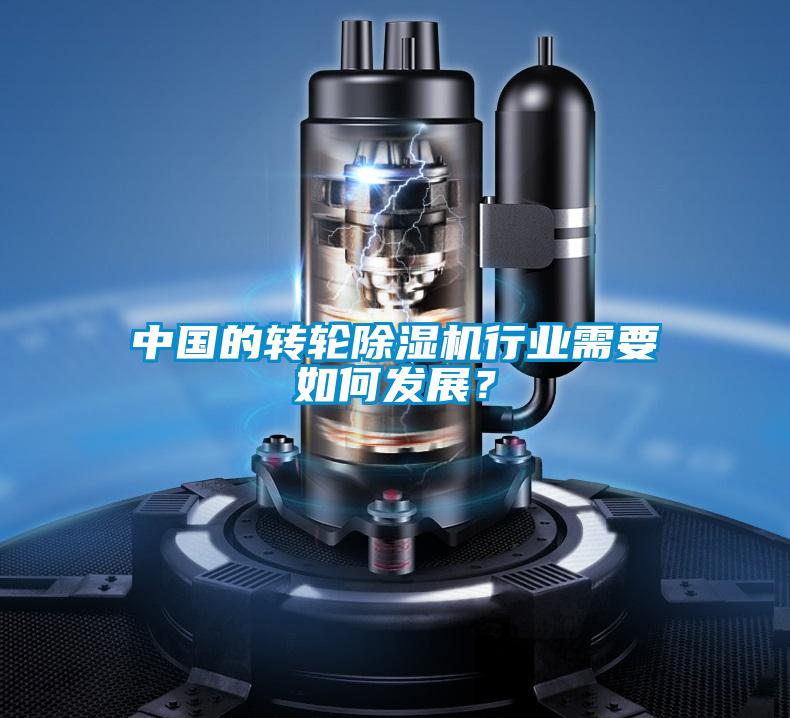 中國的轉輪除濕機行業需要如何發展？