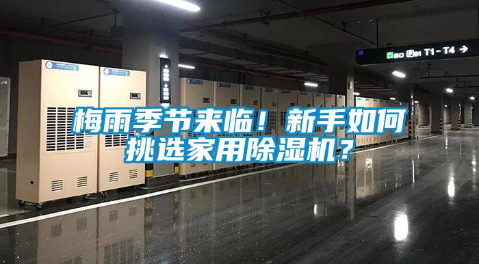 梅雨季節來臨！新手如何挑選家用除濕機？