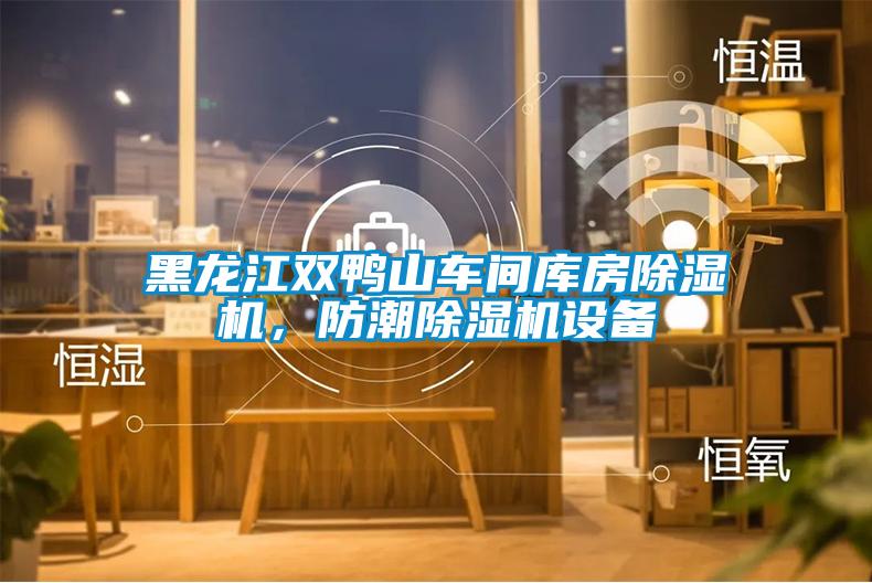 黑龍江雙鴨山車(chē)間庫(kù)房除濕機(jī)，防潮除濕機(jī)設(shè)備