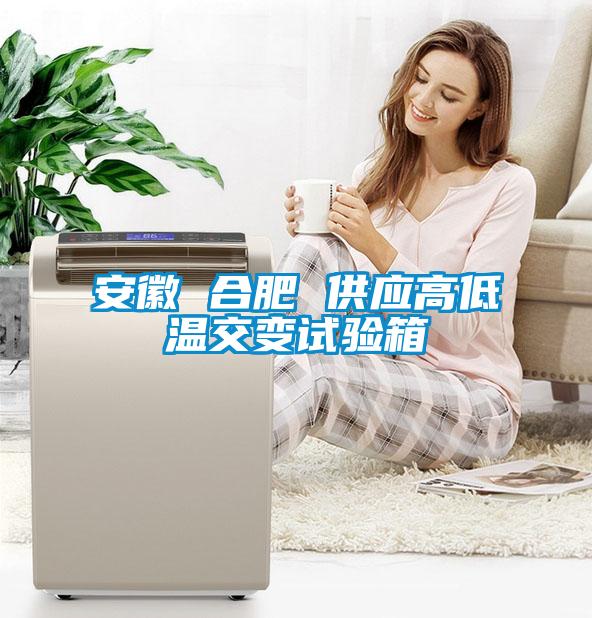 安徽 合肥 供應(yīng)高低溫交變?cè)囼?yàn)箱