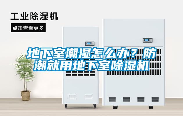 地下室潮濕怎么辦？防潮就用地下室除濕機(jī)