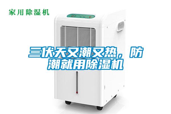三伏天又潮又熱，防潮就用除濕機