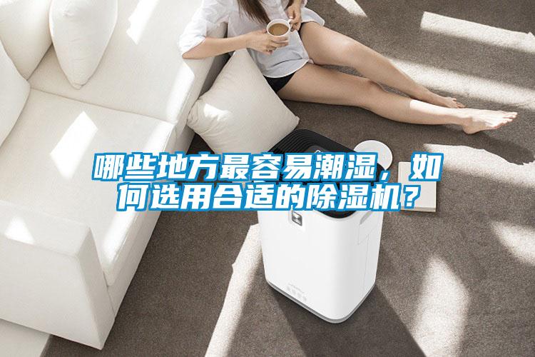 哪些地方最容易潮濕，如何選用合適的除濕機？